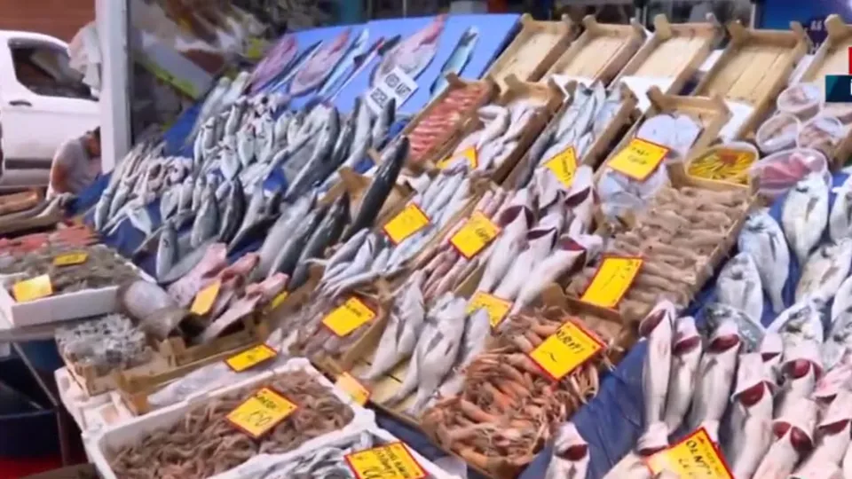 Hamsi, palamut, levrek, çupra, istavrit, mezgit, sardalye, palamut, kalkan, karides… İşte balık fiyatları