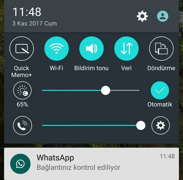 Viburnumun şifalı çilek - halk yemek tarifleri yarar ve zararı 66