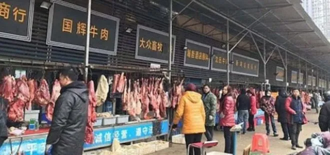 Çin kedi-köpek eti satışı ve tüketimi yasaklıyor