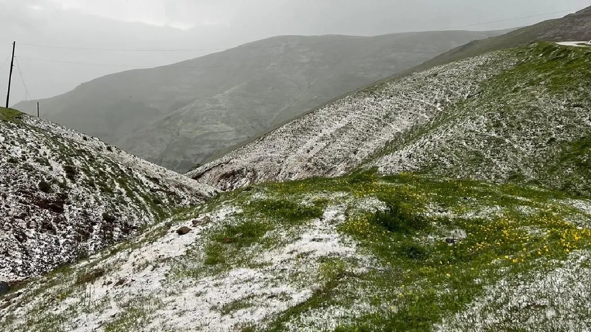 Gümüşhane'nin yüksekleri beyaza büründü