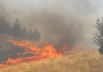 Elazığ’da arazi yangını korkuttu