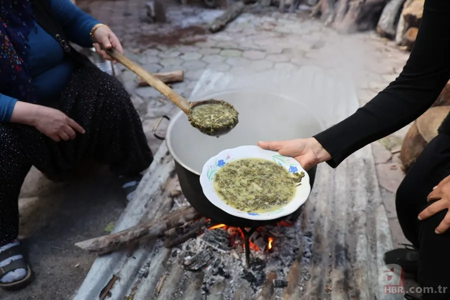 Yılda sadece iki ay toplanıyor! Zehirden şifaya mucizevi dönüşüm 7