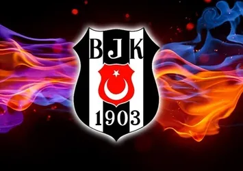 Jon Diebler, Beşiktaş'ta