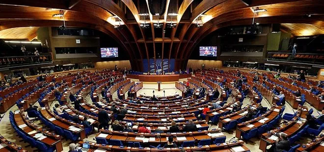 Avrupa Konseyi, İstanbul seçimini izlemek için heyet gönderecek
