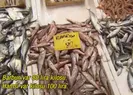 Balık fiyatları ne durumda?