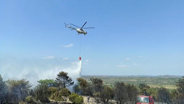 Son dakika: Çanakkale Ezine'deki orman yangını kontrol altına alındı - 4