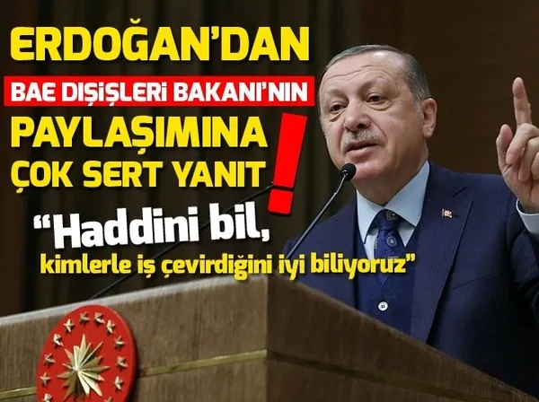 Cumhurbaşkanı Erdoğan, Türkçe ve Arapça bu tweetleri paylaştı - 3