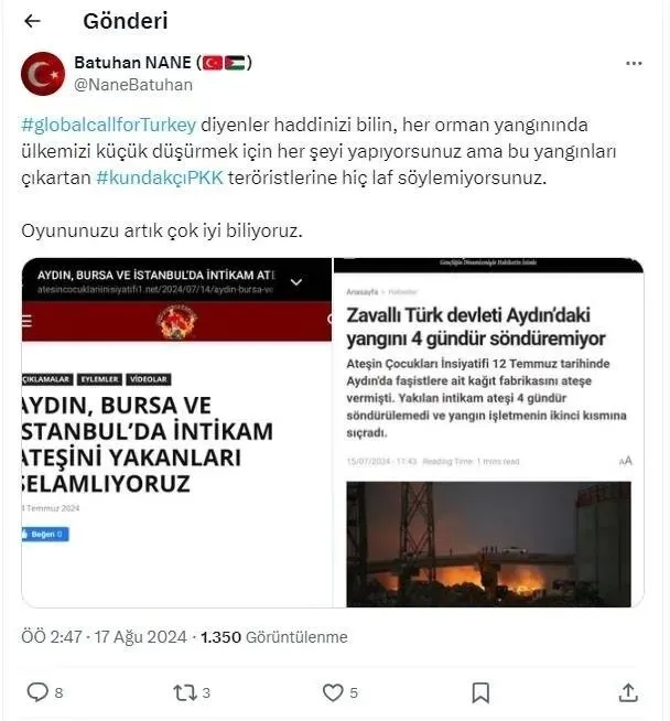 1723881771337.jpeg İstismarcılar her yangında olduğu gibi yine sahnede! Başka ülkedeki yangınları paylaşıp... - 7