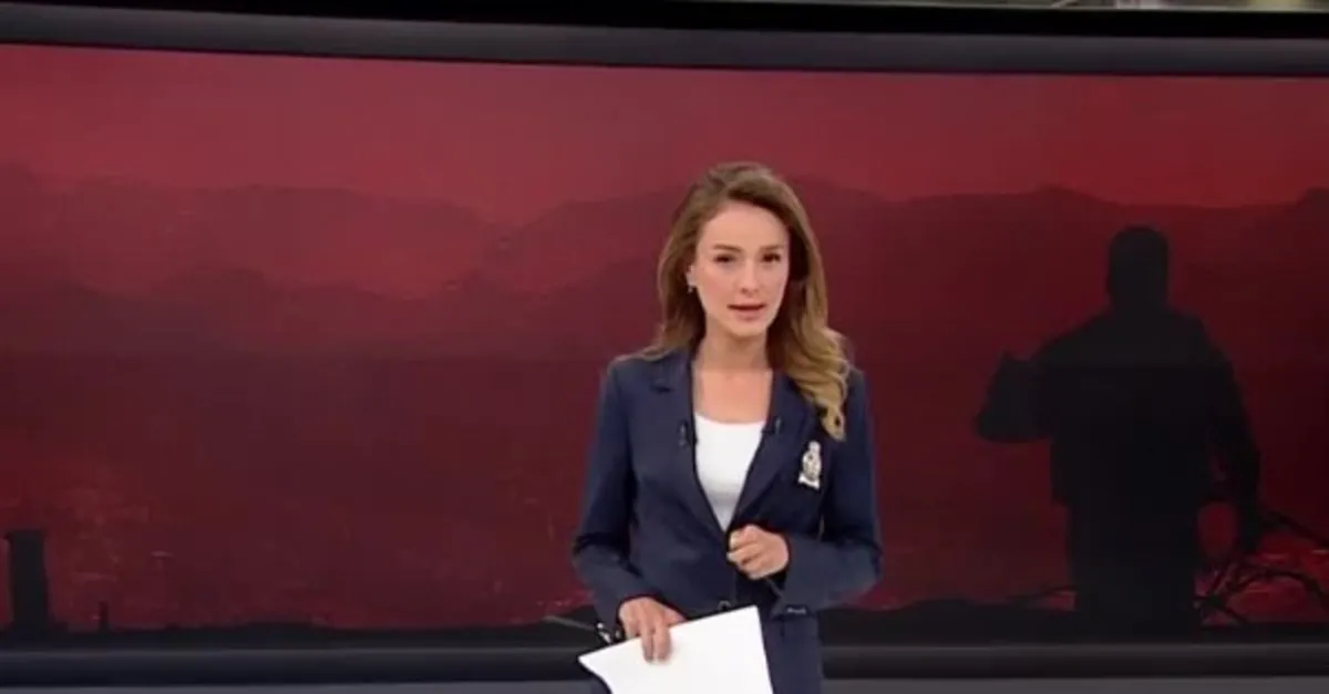 İçişleri Bakanlığı açıkladı! 2 PKK'lı terörist teslim oldu