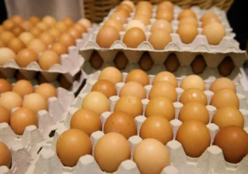 Almanya'nın yumurtaları Hollanda'dan