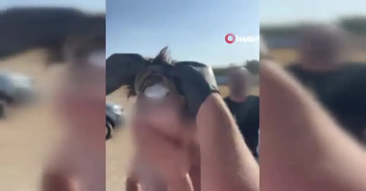 Protez saçtan uyuşturucu çıktı