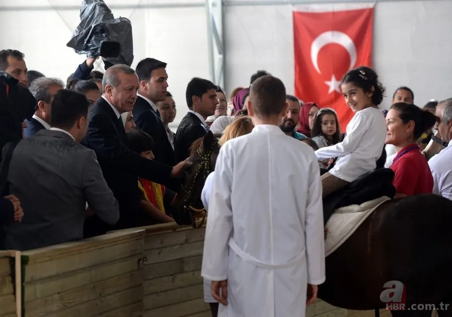 Katar emirinden Cumhurbaşkanı'na sürpriz: 53 tane Arap atı gönderdi 9