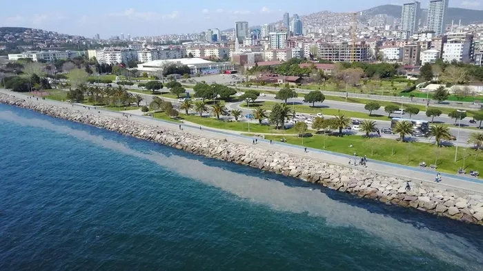 İstanbul'da yine ortaya çıktı! Kartal Sahili'nde "deniz salyası" endişesi | Müsilaj nedir? - 3