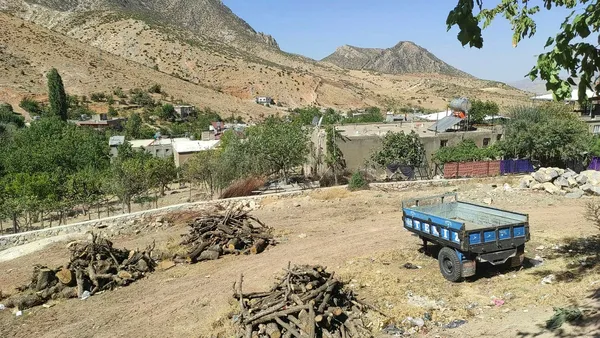 1631182746595.jpg Siirt'te şarbon alarmı! O ilçeye hayvan giriş ve çıkışı yasaklandı - 3