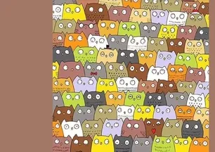 Sadece yüzde 1’lik kesim gördü! 7 saniyede baykuşların arasındaki kediyi bulun