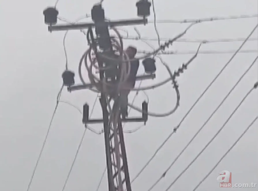 Elektrik direğine çıktı! Saniyeler sonra dehşeti böyle yaşadı 2