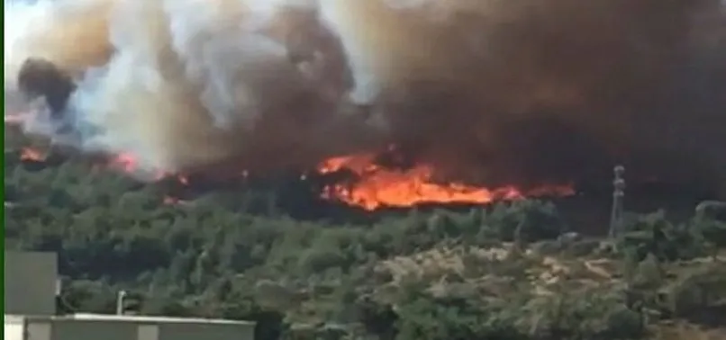 Son Dakika Hatay Da Orman Yangini Yerlesim Yerlerine Sicradi
