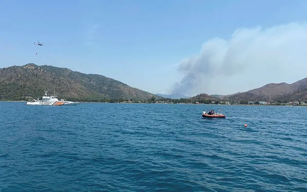 Başkan Erdoğan’dan Marmaris’teki yangına ilişkin açıklama: Dikim yaparak yeniden ihya edeceğiz