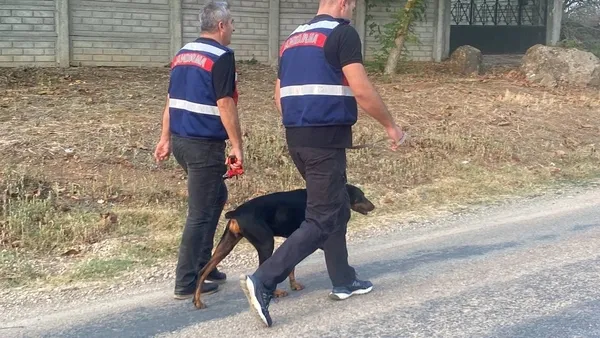 1693547970084.jpg Korhan Berzeg'i arama çalışmaları 77. gününde! Tina sahibini arıyor: Sabahın ilk ışıklarıyla çalışmalar başladı - 2