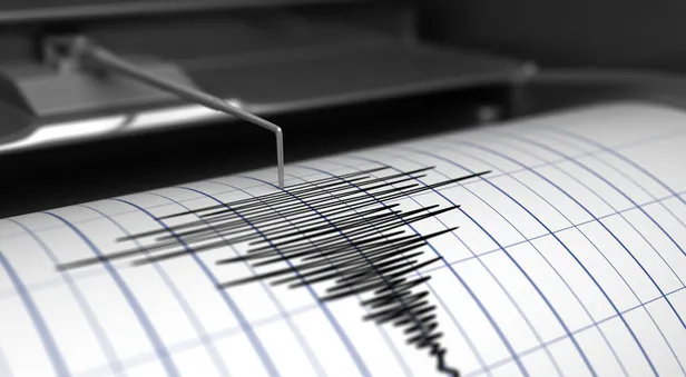 Son dakika: Muş Mescitli'de korkutan deprem! 02 Şubat 2021 Kandilli, AFAD son depremler - 2