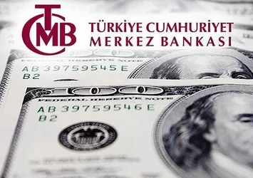 Türkiye'nin yurt dışı varlıkları arttı