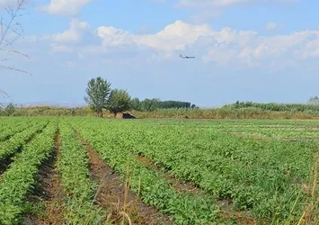 Hazine'ye ait tarım arazilerini kullanana satın alma hakkı
