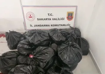 Adana’da kesilen 700 kilogram at ve eşek eti Sakarya’da yakalandı!