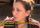 Bozkurtta bir gün nasıl geçiyor?