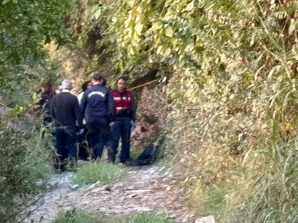 koyun-otlatan-cobanin-gizemli-olumu-kafasini-vurmuslar-1792610042627.jpeg Koyun otlatan çobanın gizemli ölümü! Kafasını vurmuşlar - 1