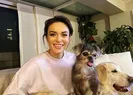 Ezgi Molaya destek veren ünlüler hakkında suç duyurusu