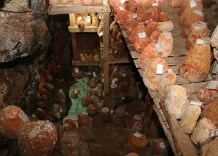 Türkiye'nin yeni lezzeti Divle Obruk Peyniri tescillendi