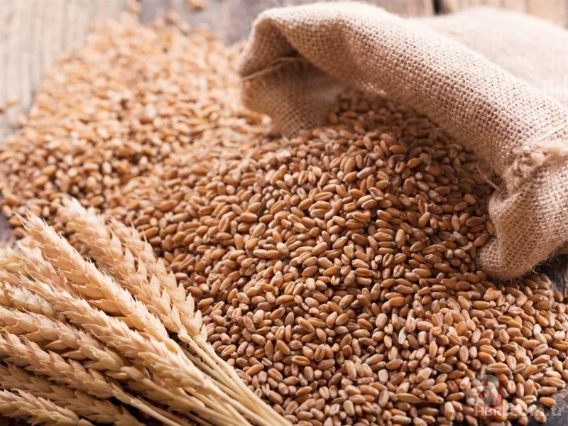 Temel gıdada KDV indirimi başladı! Hangi ürün ne kadar oldu? İşte fiyatı düşecek ürünler 25