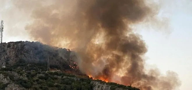 Muğla’da makilik alanda yangın! Söndürüldü