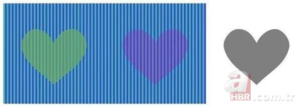 Gözlerinizin sizi yanıltmasına hazır mısınız? 13