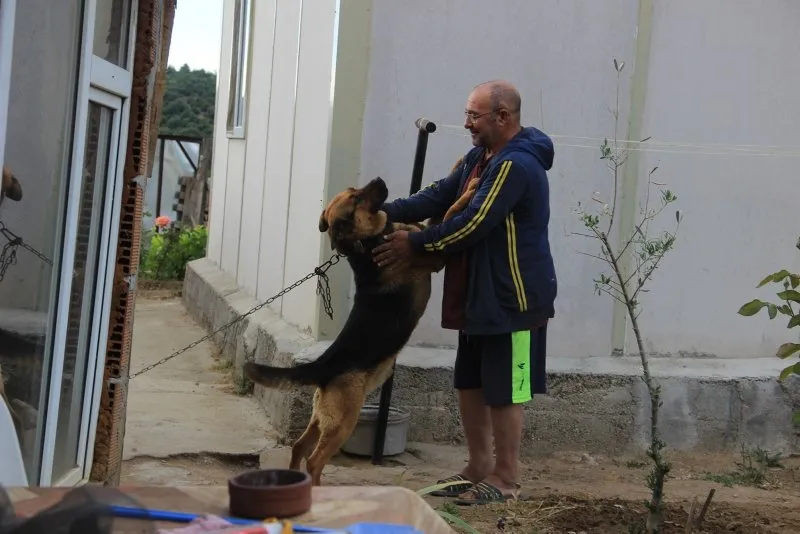 https www ahaber com tr galeri yasam son dakika alman kurdu 2 metrelik yilanin ustune atladi canakkalede olumune dovus 8