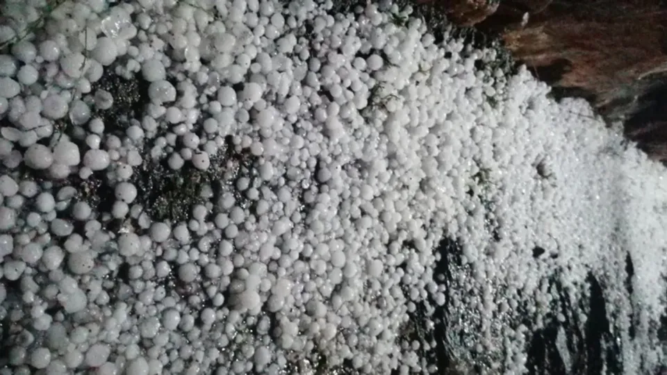 Son dakika: O ilimizde dolu yağdı! Meyveleri parçaladı