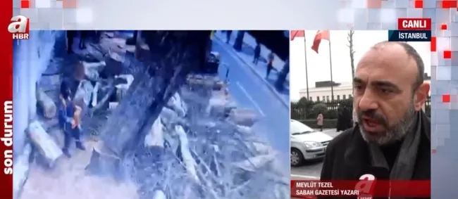 200 yıllık 112 çınar kesildi! Çevreciler, mimarlar odası ve sanatçılar neden sessiz?