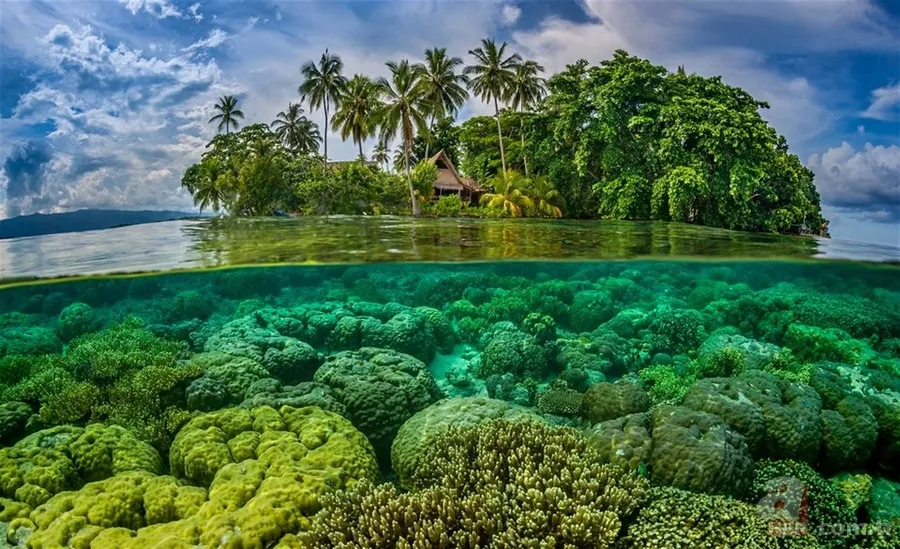 Hangi ülkelere vizesiz gidilebilir? İşte Türkiye'den vizesiz gidilen ülkelerin listesi 96