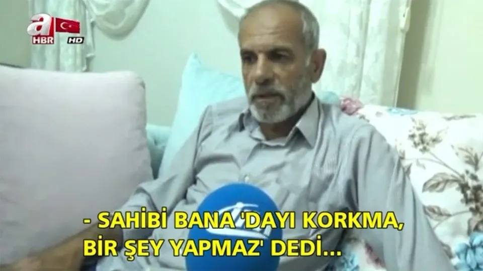 ahaber