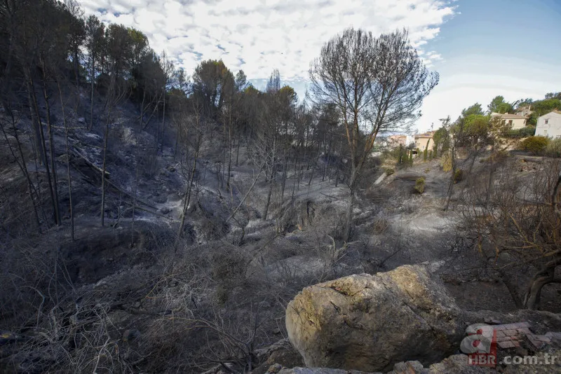 İspanya alevlere teslim: 1400 hektar alan küle döndü! 5