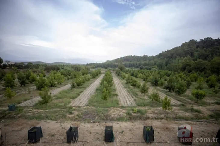 Öyle bir iş kurdu ki paraya para demiyor! Bu iş için mühendisliği bıraktı! Çok basit... 10