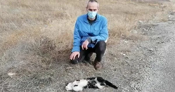 Çorum'da büyü vahşeti! 4 patisi kesilmiş kedi bulundu - 3