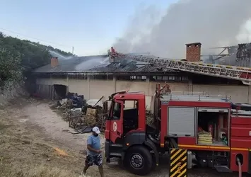 Eğirdir'de korkutan yangın