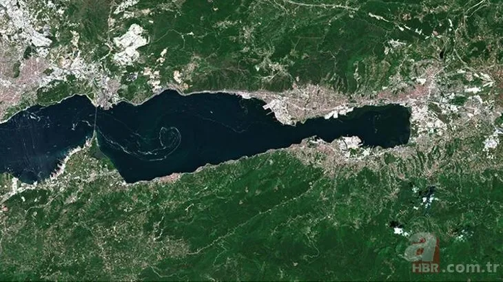 Türkiye'de bir ilk: İşte Marmara Denizi'ndeki müsilajın yoğunluk haritası! Tablo çok vahim