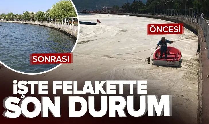 Son dakika: Müsilajla mücadele sürüyor! İşte İzmit Körfezi’ndeki son durum