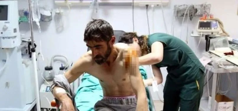 Tunceli'de ayının saldırısına uğrayan adam, ateş yakıp kendini kurtardı