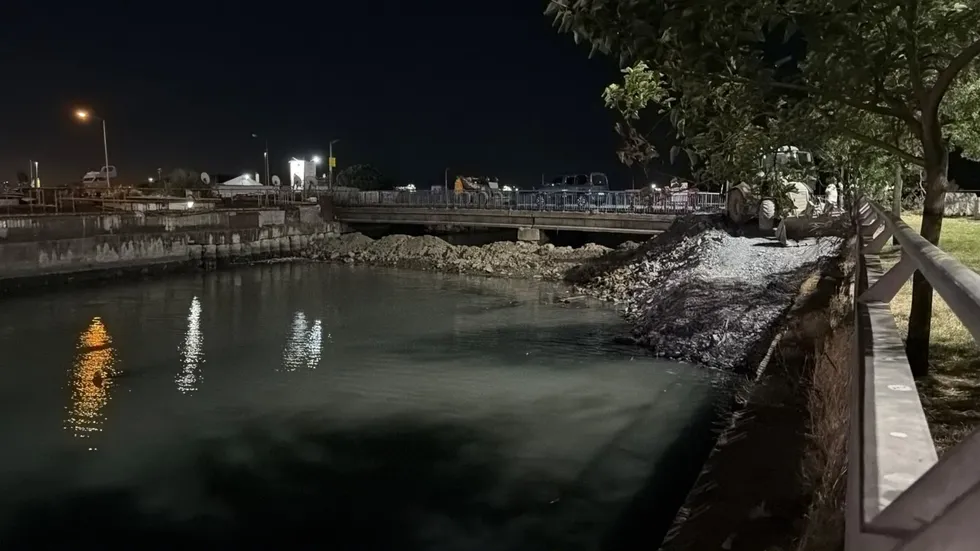 Bakırköy'de Çırpıcı Deresi'nde toplu balık ölümleri: AFAD inceleme başlattı - 3