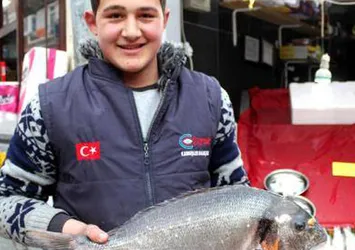 Karadeniz'e kaçan çupra şaşırttı