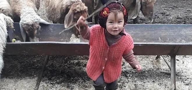 Müge Anlı'da gündem olmuştu! Müslüme'nin mezar taşı kırıldı