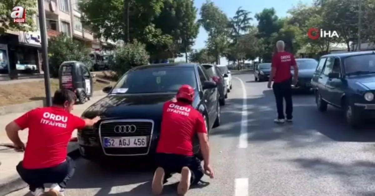 İtfaiyeden kedi kurtarma operasyonu